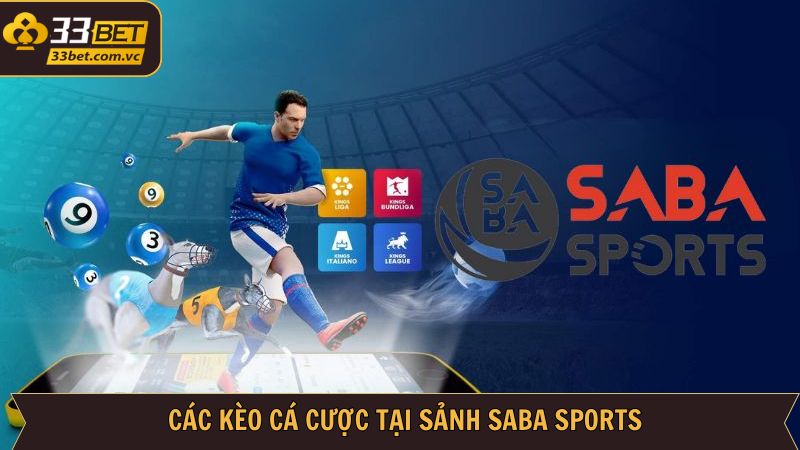 Tổng hợp những kèo cược phổ biến nhất tại Saba Sports