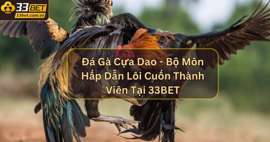 Đá Gà Cựa Dao - Bộ Môn Hấp Dẫn Lôi Cuốn Thành Viên Tại 33BET
