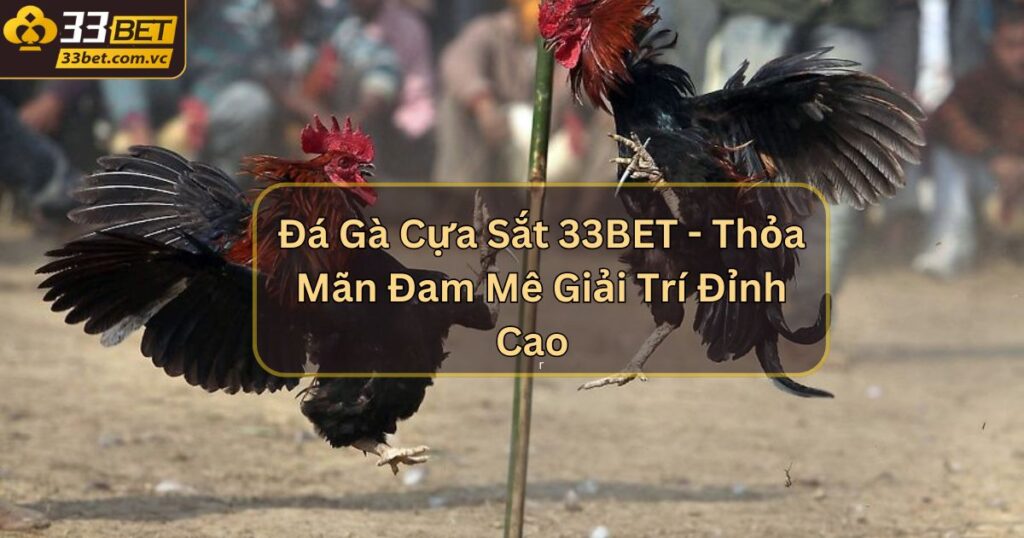 Đá Gà Cựa Sắt 33BET - Thỏa Mãn Đam Mê Giải Trí Đỉnh Cao