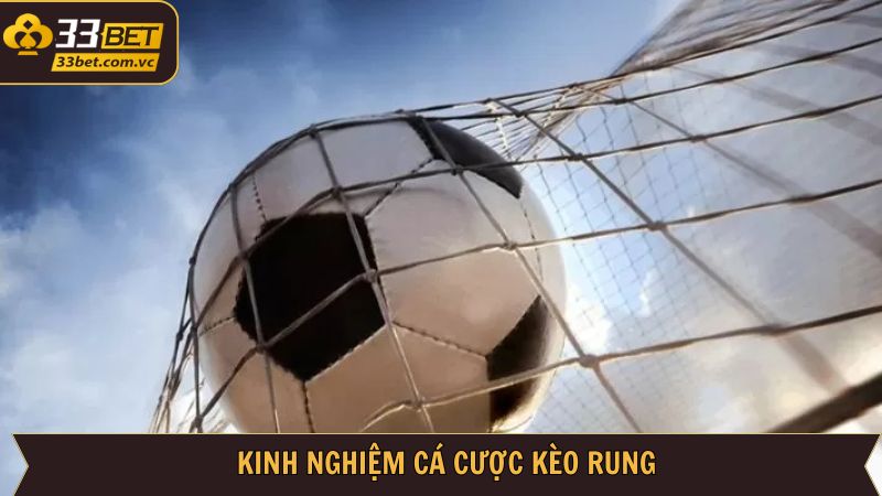 Bật mí những bí quyết giúp áp dụng kèo rung thành công ngay